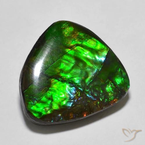 13.78ct Natural Multicolorido amolita, Chique, Opaco