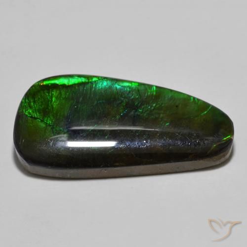 amolita Multicolorido Natural 11.49ct, Chique, Opaco