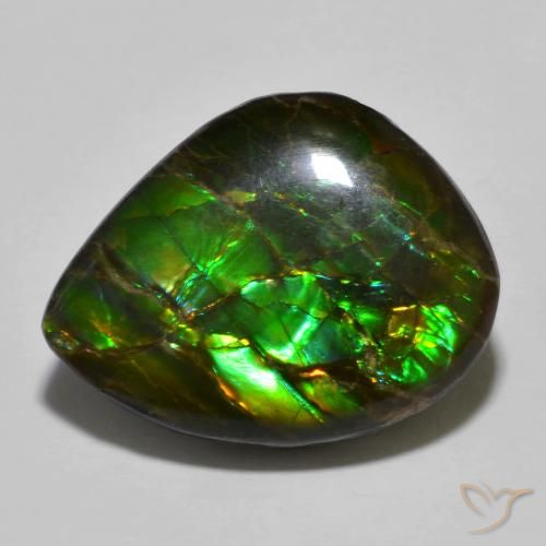 12.91ct Natural Multicolorido amolita, Chique, Opaco