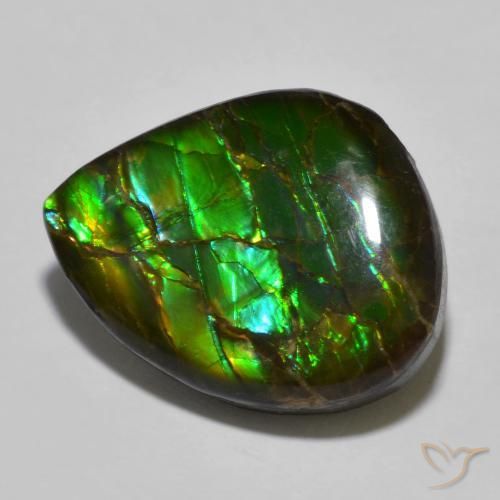 amolita Multicolorido Natural 12.91ct, Chique, Opaco