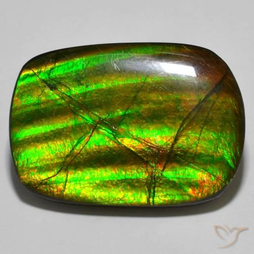 19.01ct Natural Multicolorido amolita, Chique, Opaco