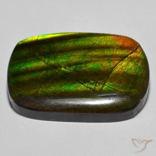 amolita Multicolorido Natural 19.01ct, Chique, Opaco