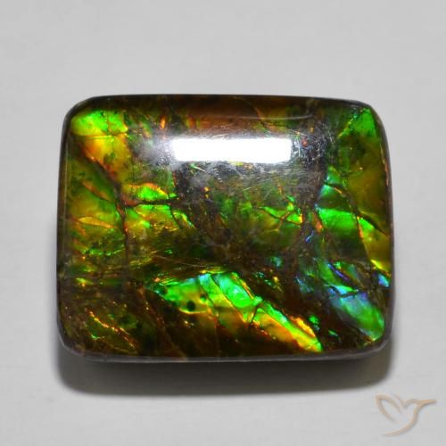 16.01ct Natural Multicolorido amolita, Almofada, Opaco