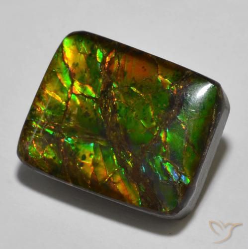 amolita Multicolorido Natural 16.01ct, Almofada, Opaco
