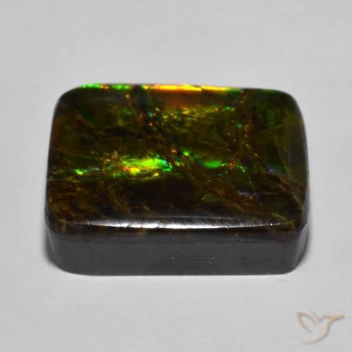 amolita Multicolorido Natural 16.01ct, Almofada, Opaco