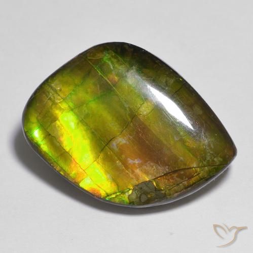 15.05ct Natural Multicolorido amolita, Chique, Opaco