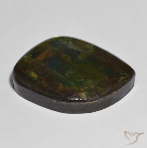 amolita Multicolorido Natural 15.05ct, Chique, Opaco
