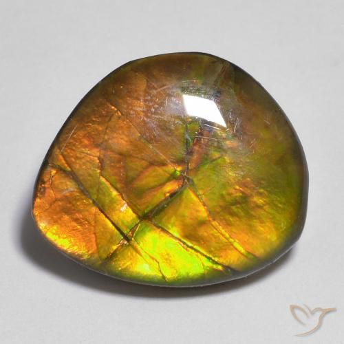 10.33ct Natural Multicolorido amolita, Chique, Opaco