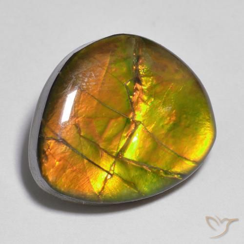 amolita Multicolorido Natural 10.33ct, Chique, Opaco
