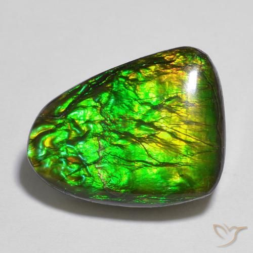 12.13ct Natural Multicolorido amolita, Chique, Opaco