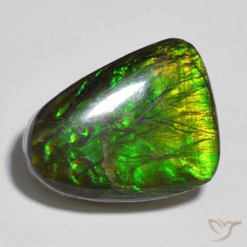 amolita Multicolorido Natural 12.13ct, Chique, Opaco
