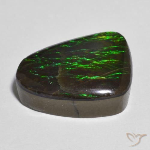amolita Multicolorido Natural 12.13ct, Chique, Opaco