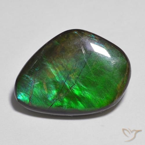 amolita Multicolorido Natural 11.06ct, Chique, Opaco