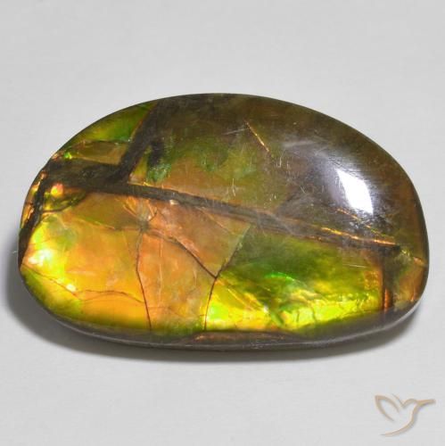17.79ct Natural Multicolorido amolita, Chique, Opaco