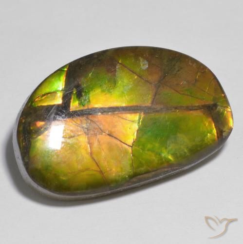 amolita Multicolorido Natural 17.79ct, Chique, Opaco