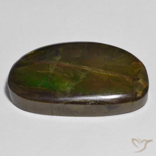 amolita Multicolorido Natural 17.79ct, Chique, Opaco