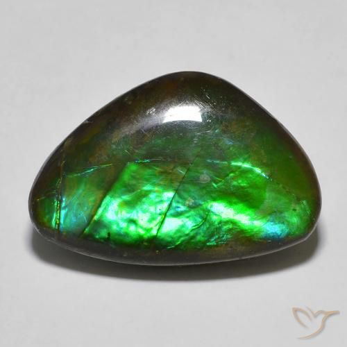 13.27ct Natural Multicolorido amolita, Chique, Opaco
