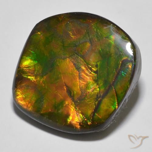 16.97ct Natural Multicolorido amolita, Chique, Opaco