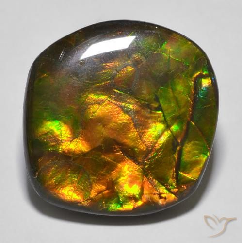 amolita Multicolorido Natural 16.97ct, Chique, Opaco