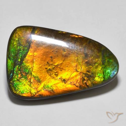 amolita Multicolorido Natural 16.68ct, Chique, Opaco