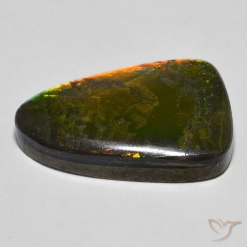 amolita Multicolorido Natural 16.68ct, Chique, Opaco