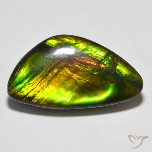 14.81ct Natural Multicolorido amolita, Chique, Opaco