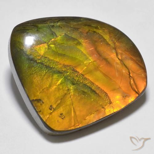 amolita Multicolorido Natural 20.15ct, Chique, Opaco
