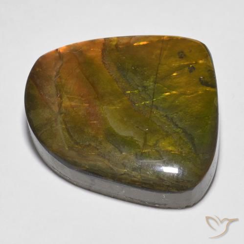 amolita Multicolorido Natural 20.15ct, Chique, Opaco
