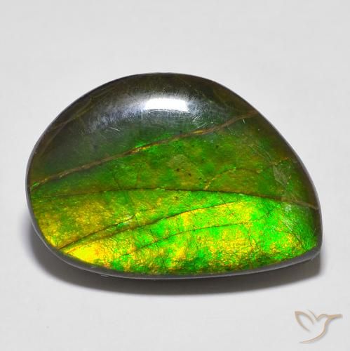 16.43ct Natural Multicolorido amolita, Chique, Opaco