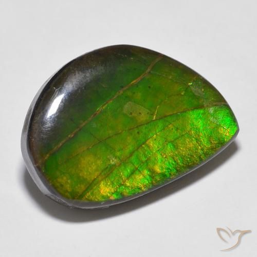 amolita Multicolorido Natural 16.43ct, Chique, Opaco