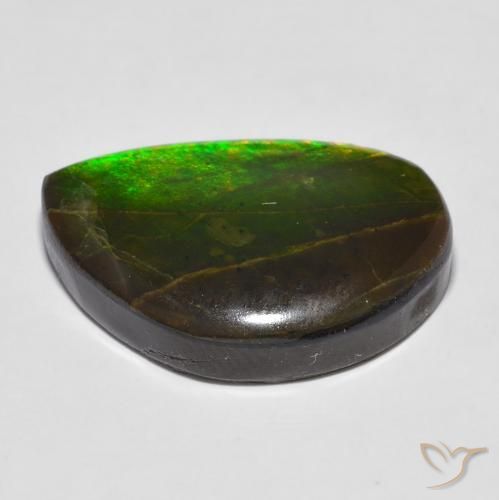 amolita Multicolorido Natural 16.43ct, Chique, Opaco