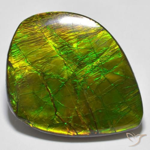 24.62ct Natural Multicolorido amolita, Chique, Opaco