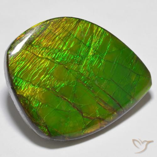 amolita Multicolorido Natural 24.62ct, Chique, Opaco