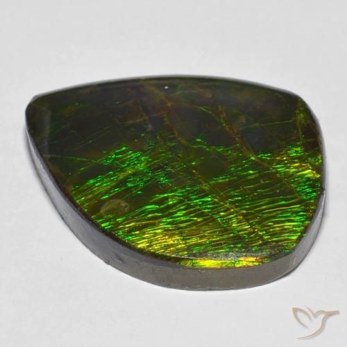 amolita Multicolorido Natural 24.62ct, Chique, Opaco