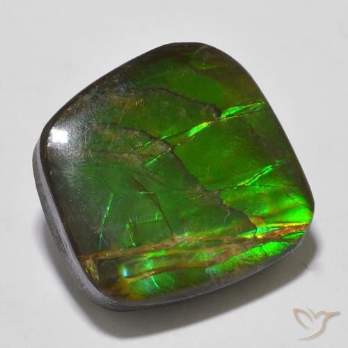 13.53ct Natural Multicolorido amolita, Chique, Opaco