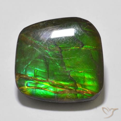 amolita Multicolorido Natural 13.53ct, Chique, Opaco