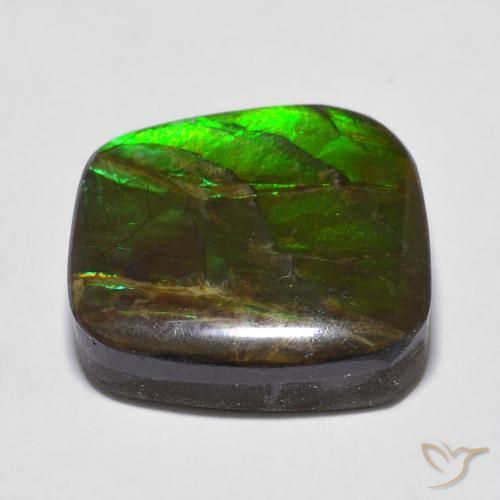 amolita Multicolorido Natural 13.53ct, Chique, Opaco