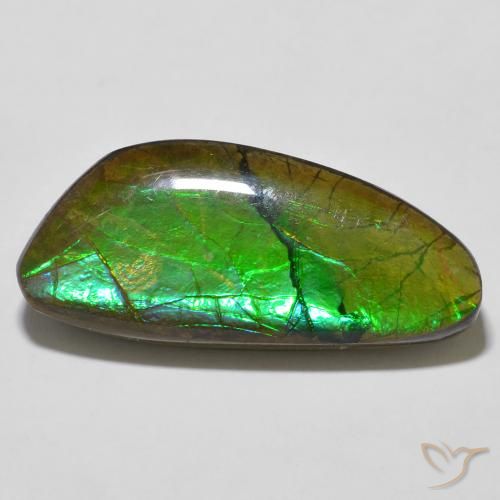 12.56ct Natural Multicolorido amolita, Chique, Opaco