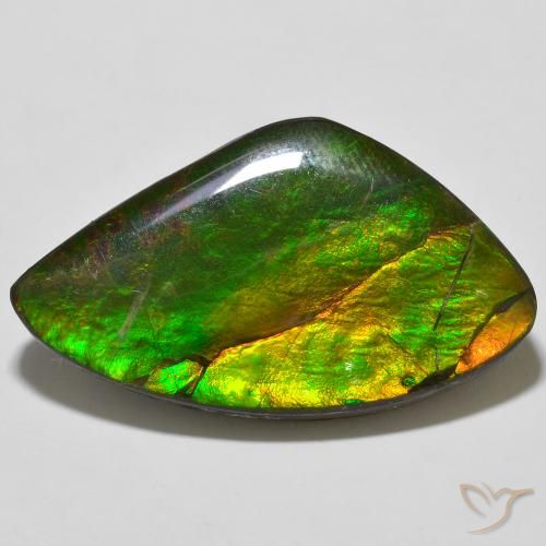 23.11ct Natural Multicolorido amolita, Chique, Opaco