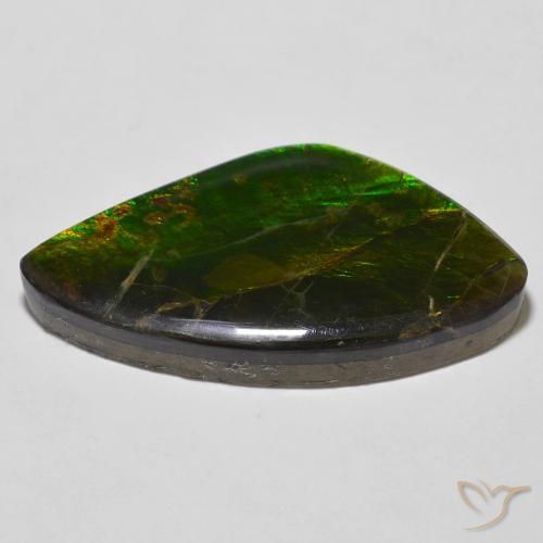 amolita Multicolorido Natural 23.11ct, Chique, Opaco