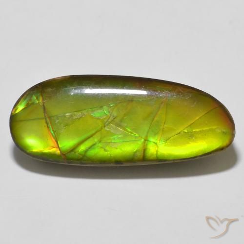 14.67ct Natural Multicolorido amolita, Chique, Opaco