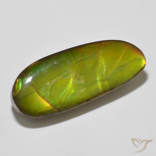 amolita Multicolorido Natural 14.67ct, Chique, Opaco