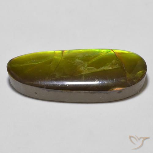 amolita Multicolorido Natural 14.67ct, Chique, Opaco