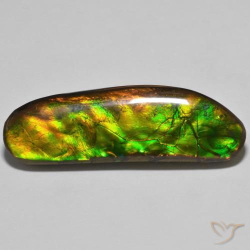23.11ct Natural Multicolorido amolita, Chique, Opaco