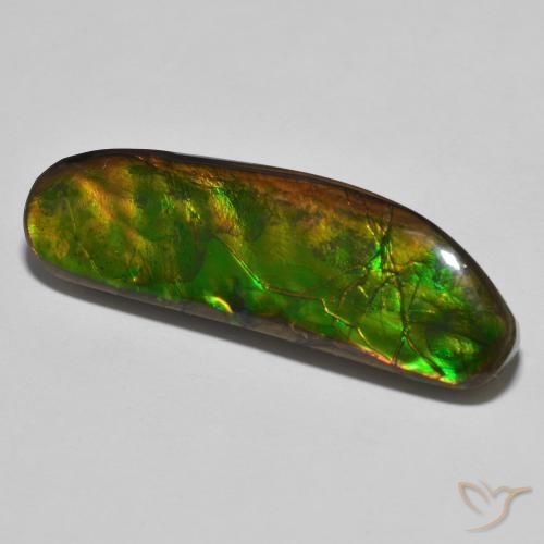 amolita Multicolorido Natural 23.11ct, Chique, Opaco