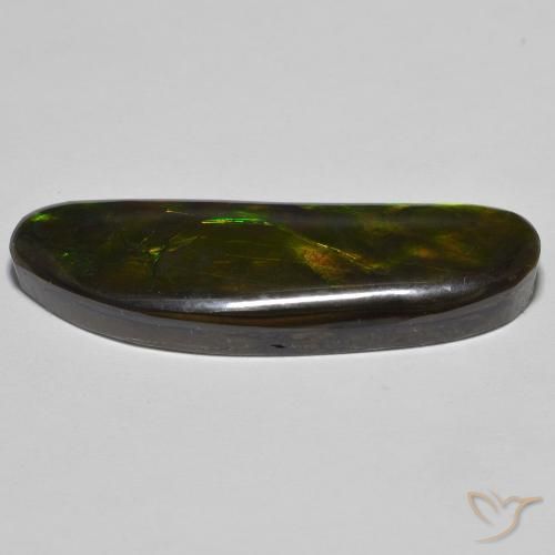 amolita Multicolorido Natural 23.11ct, Chique, Opaco