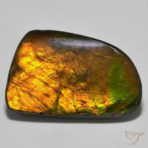 23.93ct Natural Multicolorido amolita, Chique, Opaco