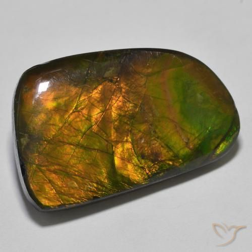 amolita Multicolorido Natural 23.93ct, Chique, Opaco