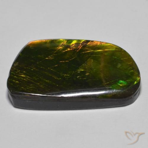 amolita Multicolorido Natural 23.93ct, Chique, Opaco