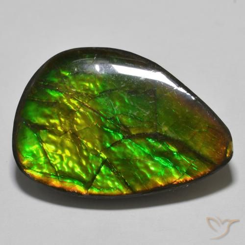 24.89ct Natural Multicolorido amolita, Chique, Opaco